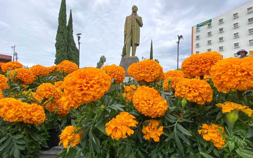 MUNICIPIO DE AGUASCALIENTES COLOCA MILES DE FLORES DE CEMPASÚCHIL EN CONMEMORACIÓN AL DÍA DE MUERTOS